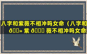 八字和紫薇不相冲吗女命（八字和 🌻 紫 🕊 薇不相冲吗女命婚姻）